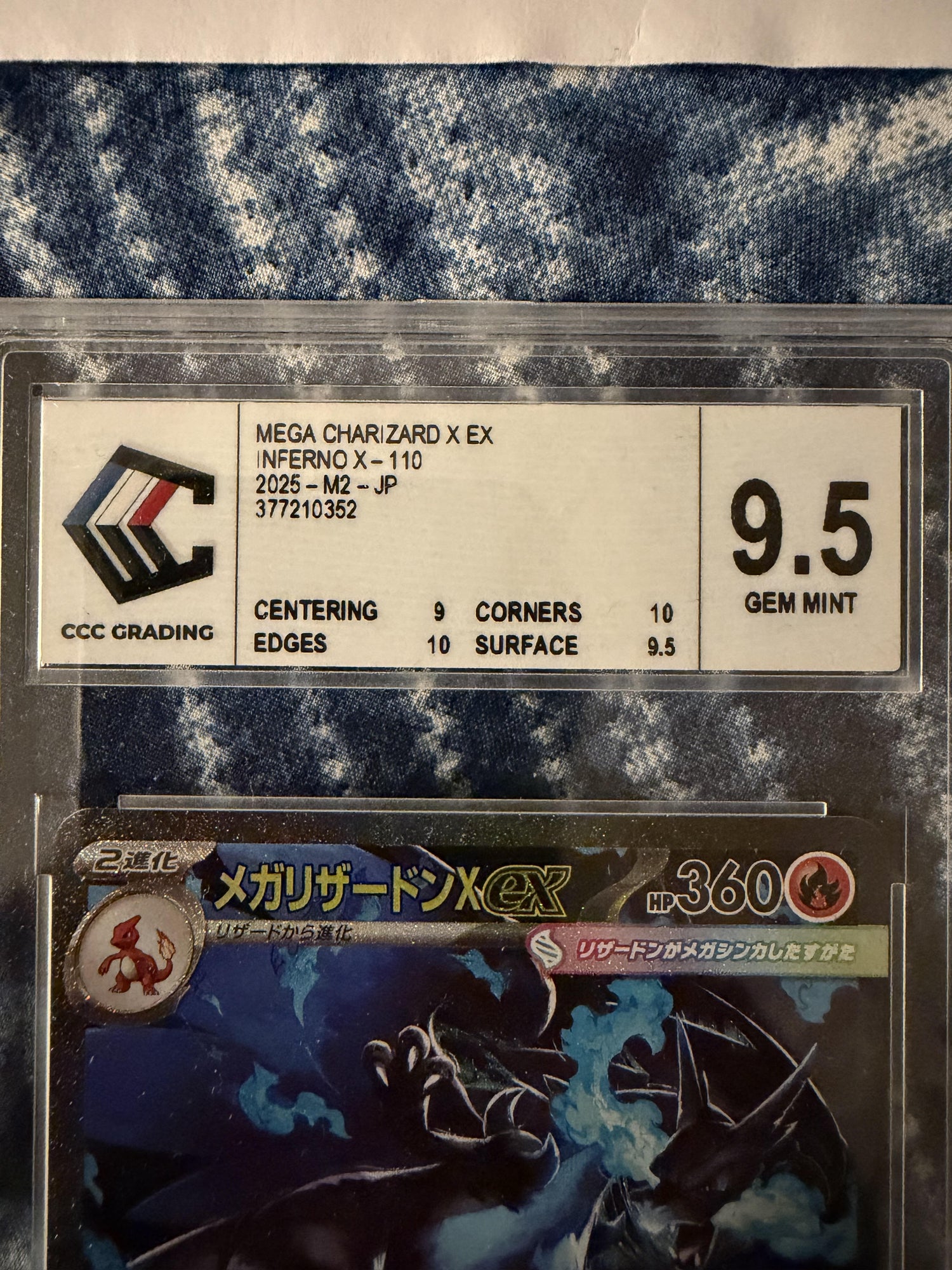 Cartes gradées - EytanTCG